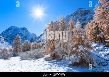 Arolla Valley und Mont Collon im Herbst, Schweiz, Wallis Stockfoto