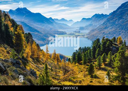 Blick auf den Silvaplana- und Silsersee, Schweiz, Graubünden, Oberengadin Stockfoto