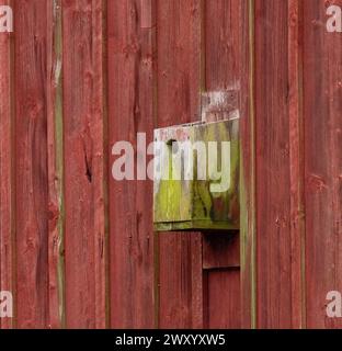 Altes Vogelhaus an der Wand Stockfoto