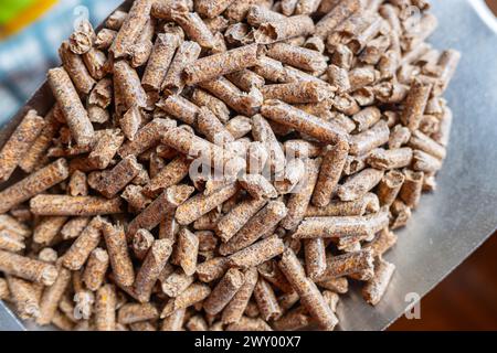Nahaufnahme Eines Stapels organischer Holzpellets aus verdichtetem Sägemehl aus Holzbearbeitungsarbeiten. Alternative Energie, ökologische Heizung, Biokraftstoff Co Stockfoto