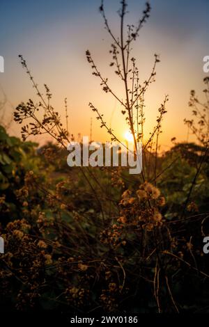 Ein Foto bei Sonnenuntergang zeigt den Himmel in Orange, Gelb und Gold und zaubert einen magischen Zauber. Stockfoto