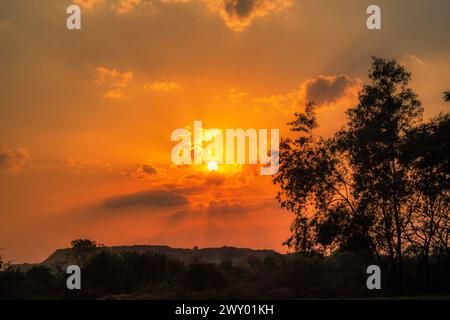 Ein atemberaubendes Foto der goldenen Stunde, das die Wärme des Sonnenuntergangs einfängt, den Himmel in Goldtönen malt und einen faszinierenden Glanz erzeugt. Stockfoto