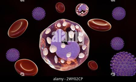 Das 3D-Rendering von CMV oder Cytomegalievirus kann von Blutspendern mit aktiver (primär oder reaktivierter) oder latenter Infektion übertragen werden Stockfoto