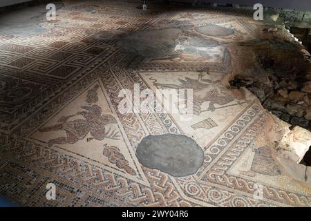 Das TriClinium (Speisesaal) im westlichen Bereich der Chedworth Roman Villa. Der Mosaikboden zeigt Mythen, die mit Bacchus, dem Gott des Weines, verbunden sind. UK Stockfoto