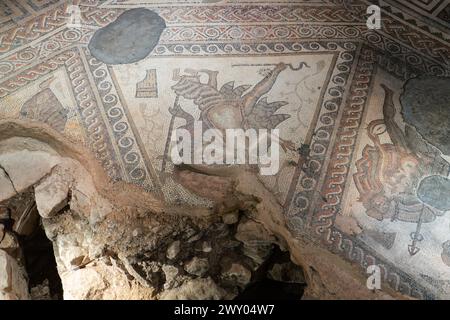 Das TriClinium (Speisesaal) im westlichen Bereich der Chedworth Roman Villa. Der Mosaikboden zeigt Mythen, die mit Bacchus, dem Gott des Weines, verbunden sind. UK Stockfoto