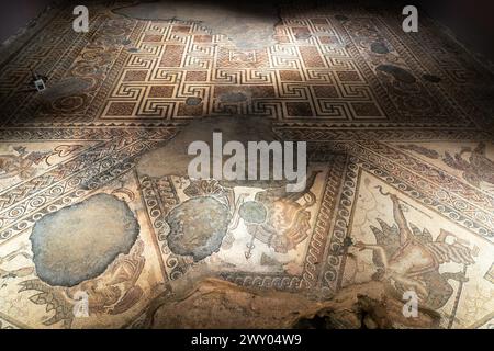 Das TriClinium (Speisesaal) im westlichen Bereich der Chedworth Roman Villa. Der Mosaikboden zeigt Mythen, die mit Bacchus, dem Gott des Weines, verbunden sind. UK Stockfoto