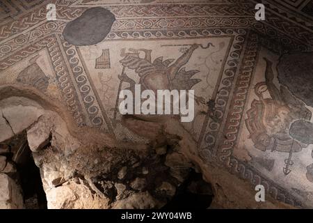 Das TriClinium (Speisesaal) im westlichen Bereich der Chedworth Roman Villa. Der Mosaikboden zeigt Mythen, die mit Bacchus, dem Gott des Weines, verbunden sind. UK Stockfoto