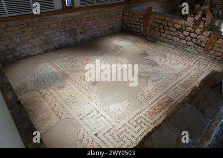 Die Dampfbäder (Balnea) in Chedworth Roman Villa. Dieser Raum ist ein Umkleideraum (Apodyterium) mit einem Mosaikboden aus Tesseren. UK. Stockfoto