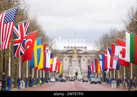 Die Nationalflaggen der NATO-Mitgliedsländer hängen in der Mall in London, um den 75. Jahrestag der Nordatlantikvertragsorganisation zu feiern. Bilddatum: Mittwoch, 3. April 2024. Stockfoto