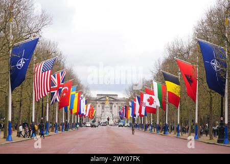 Die NATO-Flaggen hängen vor den Nationalflaggen der NATO-Mitgliedsländer in der Mall in London, um den 75. Jahrestag der Nordatlantikvertragsorganisation zu feiern. Bilddatum: Mittwoch, 3. April 2024. Stockfoto