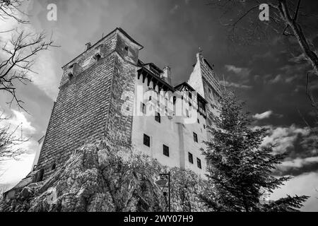 Das wunderschöne Schloss Dracula in Siebenbürgen, Rumänien Stockfoto