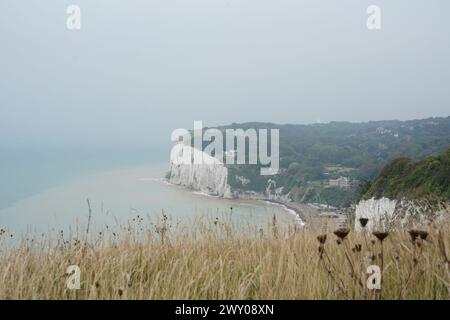 Blick von den White Cliffs über die Bucht und das Meer, St Margaret Bay, Dover, Großbritannien. Stockfoto