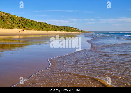 Ruhige Strände entlang der geschützten Landschaft der fossilen Klippen der Costa de Caparica. Fonte da Telha, Almada. Portugal Stockfoto