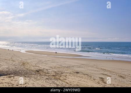 Der Strand von Vieira de Leiria. Leiria, Portugal Stockfoto