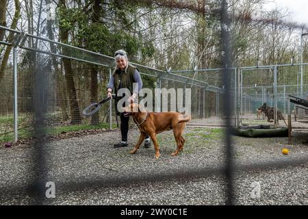 Hradec Kralove, Tschechische Republik. April 2024. Tierheim für Tiere in Hradec Kralove, Tschechische Republik, 3. April 2024. Quelle: David Tanecek/CTK Photo/Alamy Live News Stockfoto
