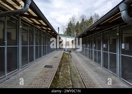 Hradec Kralove, Tschechische Republik. April 2024. Tierheim für Tiere in Hradec Kralove, Tschechische Republik, 3. April 2024. Quelle: David Tanecek/CTK Photo/Alamy Live News Stockfoto
