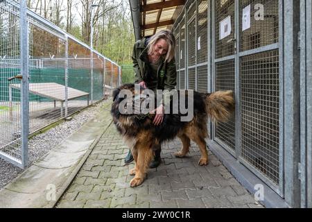 Hradec Kralove, Tschechische Republik. April 2024. Tierheim für Tiere in Hradec Kralove, Tschechische Republik, 3. April 2024. Quelle: David Tanecek/CTK Photo/Alamy Live News Stockfoto