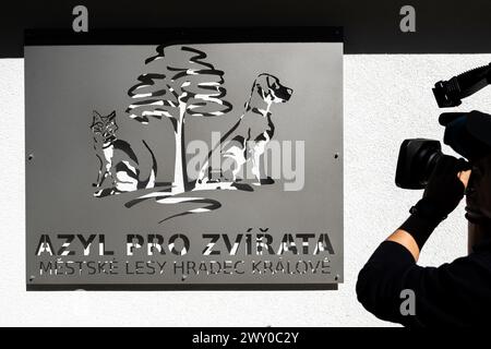Hradec Kralove, Tschechische Republik. April 2024. Tierheim für Tiere in Hradec Kralove, Tschechische Republik, 3. April 2024. Quelle: David Tanecek/CTK Photo/Alamy Live News Stockfoto