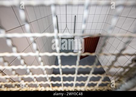 Hradec Kralove, Tschechische Republik. April 2024. Tierheim für Tiere in Hradec Kralove, Tschechische Republik, 3. April 2024. Quelle: David Tanecek/CTK Photo/Alamy Live News Stockfoto