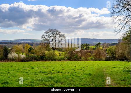 Blick in Richtung South Downs über Felder, Wälder und Farmen an einem sonnigen Frühlingstag in der Nähe von Nutbourne, Pulborough in West Sussex, England. Stockfoto