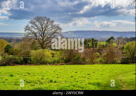 Blick in Richtung South Downs über Felder, Wälder und Farmen an einem sonnigen Frühlingstag in der Nähe von Nutbourne, Pulborough in West Sussex, England. Stockfoto