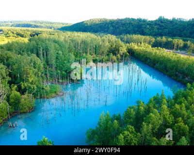 Blick aus der Vogelperspektive auf den wunderschönen Shirogane Blue Pond oder Aoike in Biei Stadt in Hokkaido, Japan Stockfoto