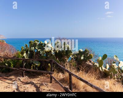 Stachelbirnen im Naturschutzgebiet Zingaro, zwischen San Vito lo Capo und Scopello, Provinz Trapani, Sizilien, Italien. Stockfoto