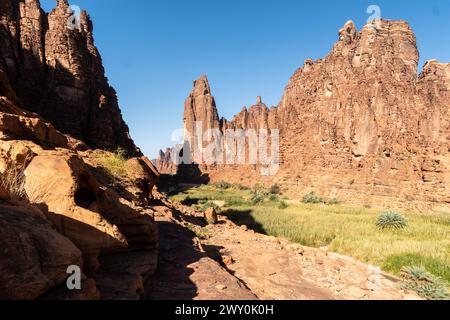 Wadi Al Disah, eine berühmte atemberaubende Schlucht und Oase in der Nähe von Tabuk in Saudi-Arabien im Nahen Osten Stockfoto