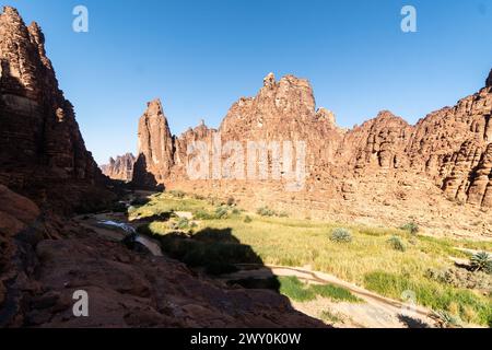 Wadi Al Disah, eine berühmte atemberaubende Schlucht und Oase in der Nähe von Tabuk in Saudi-Arabien im Nahen Osten Stockfoto