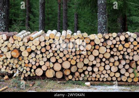 Gesägtes Brennholz, ordentlich auf einer Forststraße an einem Tag des frühen Frühlings gestapelt. Stockfoto