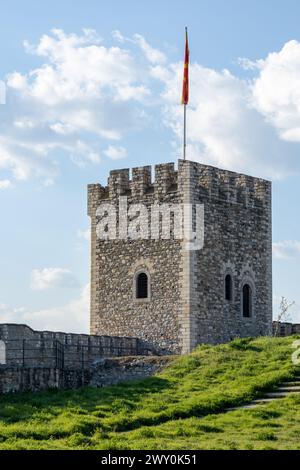 Ein alter Steinturm, der im Frühjahr teilweise von blühenden Ästen verdeckt ist und Erneuerung und Geschichte symbolisiert. Stockfoto