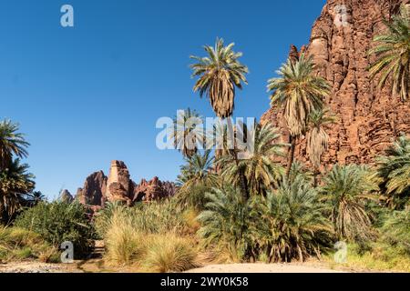 Wadi Al Disah, eine berühmte atemberaubende Schlucht und Oase in der Nähe von Tabuk in Saudi-Arabien im Nahen Osten Stockfoto