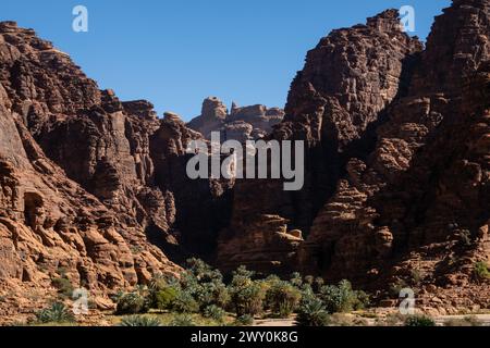 Wadi Al Disah, eine berühmte atemberaubende Schlucht und Oase in der Nähe von Tabuk in Saudi-Arabien im Nahen Osten Stockfoto