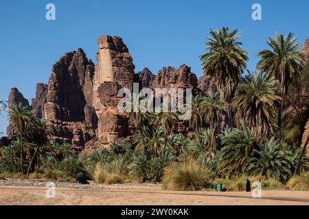 Wadi Al Disah, eine berühmte atemberaubende Schlucht und Oase in der Nähe von Tabuk in Saudi-Arabien im Nahen Osten Stockfoto