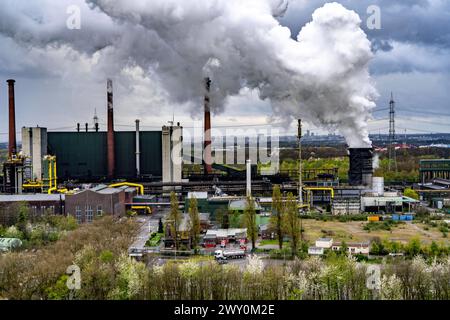 Kokerei Prosper, betrieben vom Stahlkonzern ArcelorMittal,146 Koksöfen mit einer Tagesleistung von 5500 Tonnen Koks, Bottrop, Löschwolke, NRW, Deutschland, Kokerei Prosper *** Kokerei Prosper, betrieben vom Stahlkonzern ArcelorMittal, 146 Kokereien mit einer Tagesleistung von 5500 Tonnen Koks, Bottrop, Löschwolke, NRW, Deutschland, blühende Kokerei Stockfoto