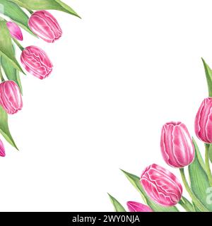 Blumen. Tulpen auf isoliertem weiß. Aquarellzeichnung. botanisches Gemälde, wunderschöne Frühlingsflora, rosa Blumen Stockfoto
