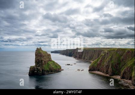 Duncansby Stacks and Cliff at North Sea, Duncansby Head, John O´Groats, Schottland, Großbritannien Stockfoto