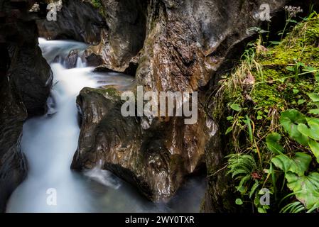 Das seidenglatte Wasser steht im Kontrast zu den scharfen Texturen der moosbedeckten Schluchtwände und schafft eine faszinierende Mischung aus Bewegung und Stille Stockfoto