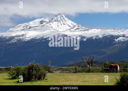 Ein Pferd weidet auf einem Feld unterhalb der Paine Grande im Nationalpark Torres del Paine, Provinz Última Esperanza, Chile. Stockfoto