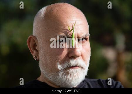Mantis im Gesicht. Comic und Humor. Senior mit großer Mantis im Gesicht. Lustige Geschichte und Humor. Comic-Idee. Stockfoto