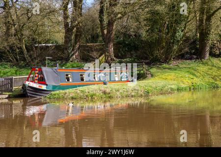 Canal Narrowboat liegt am Shropshire union Kanal am Goldstone Wharf Cheswardine, nahe Market Drayton Shropshire England UK Stockfoto