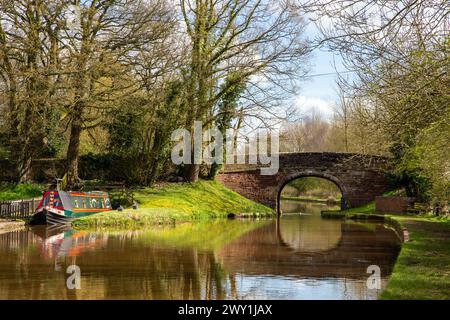 Canal Narrowboat liegt am Shropshire union Kanal am Goldstone Wharf Cheswardine, nahe Market Drayton Shropshire England UK Stockfoto