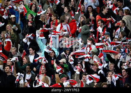 UTRECHT - Fans des FC Utrecht beim niederländischen Eredivisie-Spiel zwischen dem FC Utrecht und PEC Zwolle im Galgenwaard-Stadion am 3. April 2024 in Utrecht, Niederlande. ANP GERRIT VAN KÖLN Stockfoto