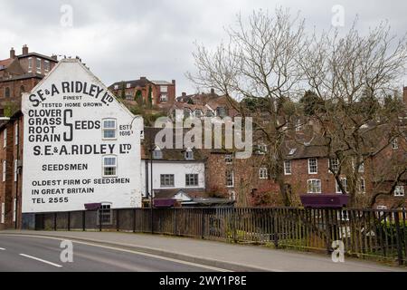 Schildern Sie auf dem Giebelende eines Hauses in der Shropshire Marktstadt Bridgnorth für S E & A Ridley Ltd, den ältesten Saatguthändler und Saatarbeiter Großbritanniens Stockfoto