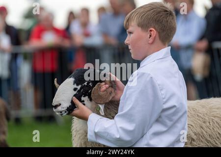 Kinder, die Schafe in der Young Handlers Sektion bei der Westmorland Show, Kendal, Cumbria, 2022 zeigen. Stockfoto