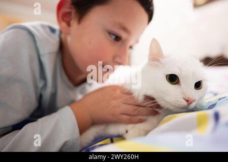 Ein beruhigendes Bild, das einen Moment der Zuneigung einfängt, während ein Kind eine entspannte weiße Katze, die auf einem Bett liegt, vorsichtig streichelt. Stockfoto