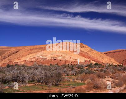 Marokko, Marrakesch, Hohes Atlasgebirge. Fruchtbares Tal auf einem Hochplateau mit blühenden Obst- und Mandelbäumen. Stockfoto