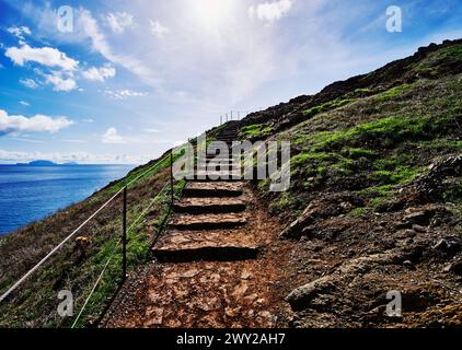 Vereda da Ponta de São Lourenco Wanderung (PR8) auf Madeira Insel, Portugal, Europa Stockfoto