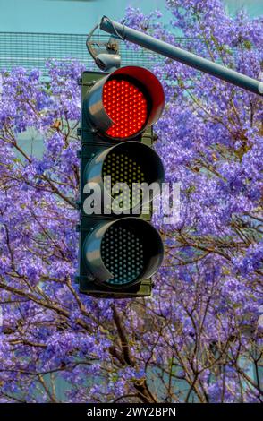 Rote Ampel Stockfoto