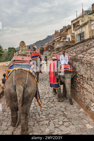Elefanten, die Touristen auf das Amber Fort, Jaipur, Rajasthan, Indien Stockfoto